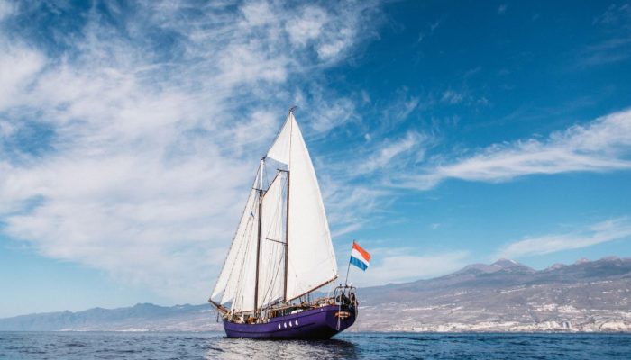 Twister-canary-islands-rear-1024x576